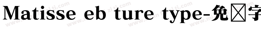 Matisse eb ture type字体转换